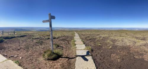 The Cheviot