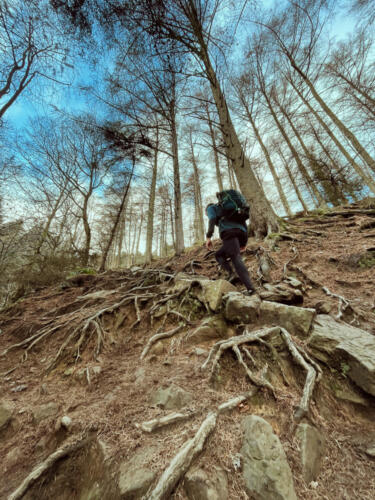 Climbing from Low Bradfield